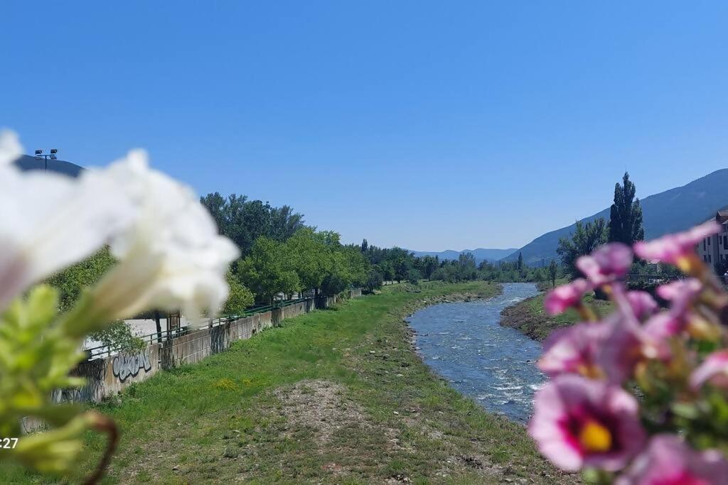 Apartamento Alma De Biescas Εξωτερικό φωτογραφία